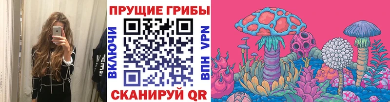 Псилоцибиновые грибы GOLDEN TEACHER  Суровикино 